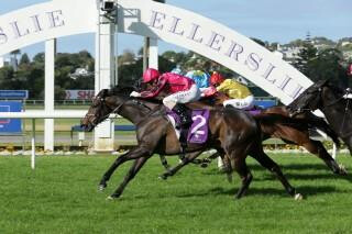 Natuzzi (NZ) takes out the Concorde Handicap. Photo: Trish Dunell